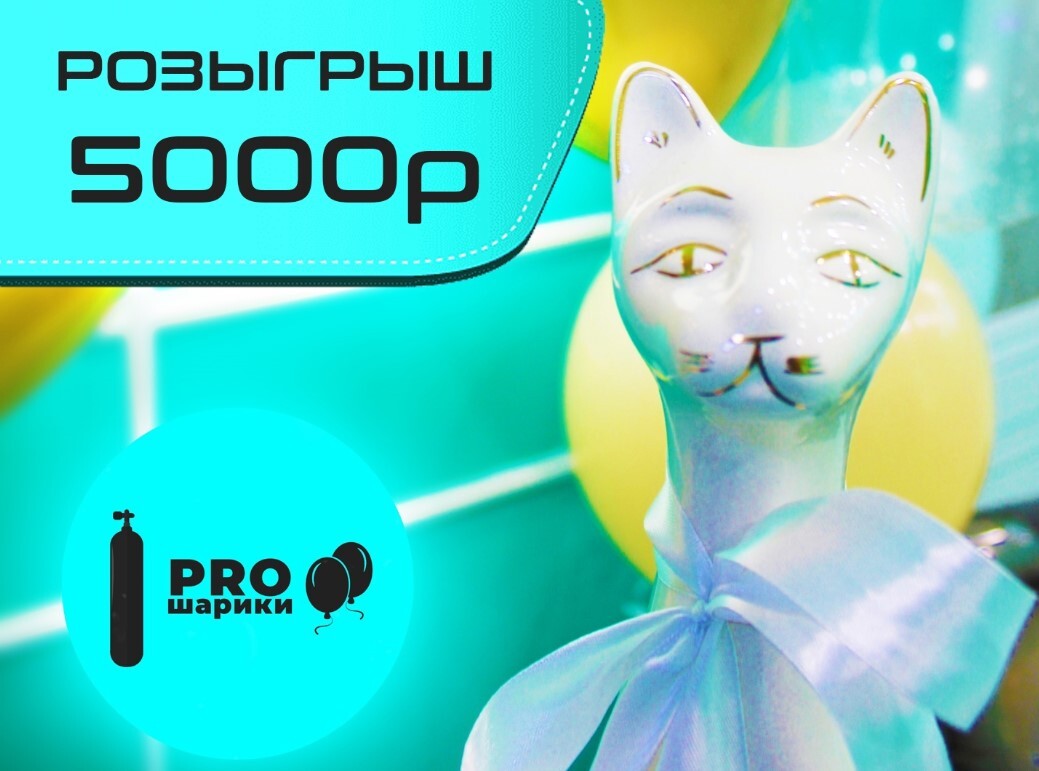 Розыгрыш №26: денежный приз 5000 ₽ от PROшарики