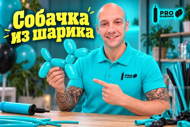 Собачка из длинного шарика: первая фигура для начинающих