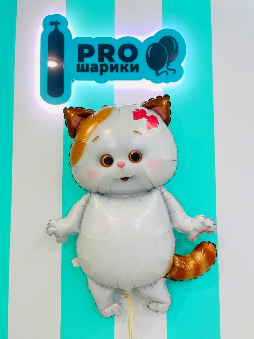 Фольгированный шар Кошечка Лили