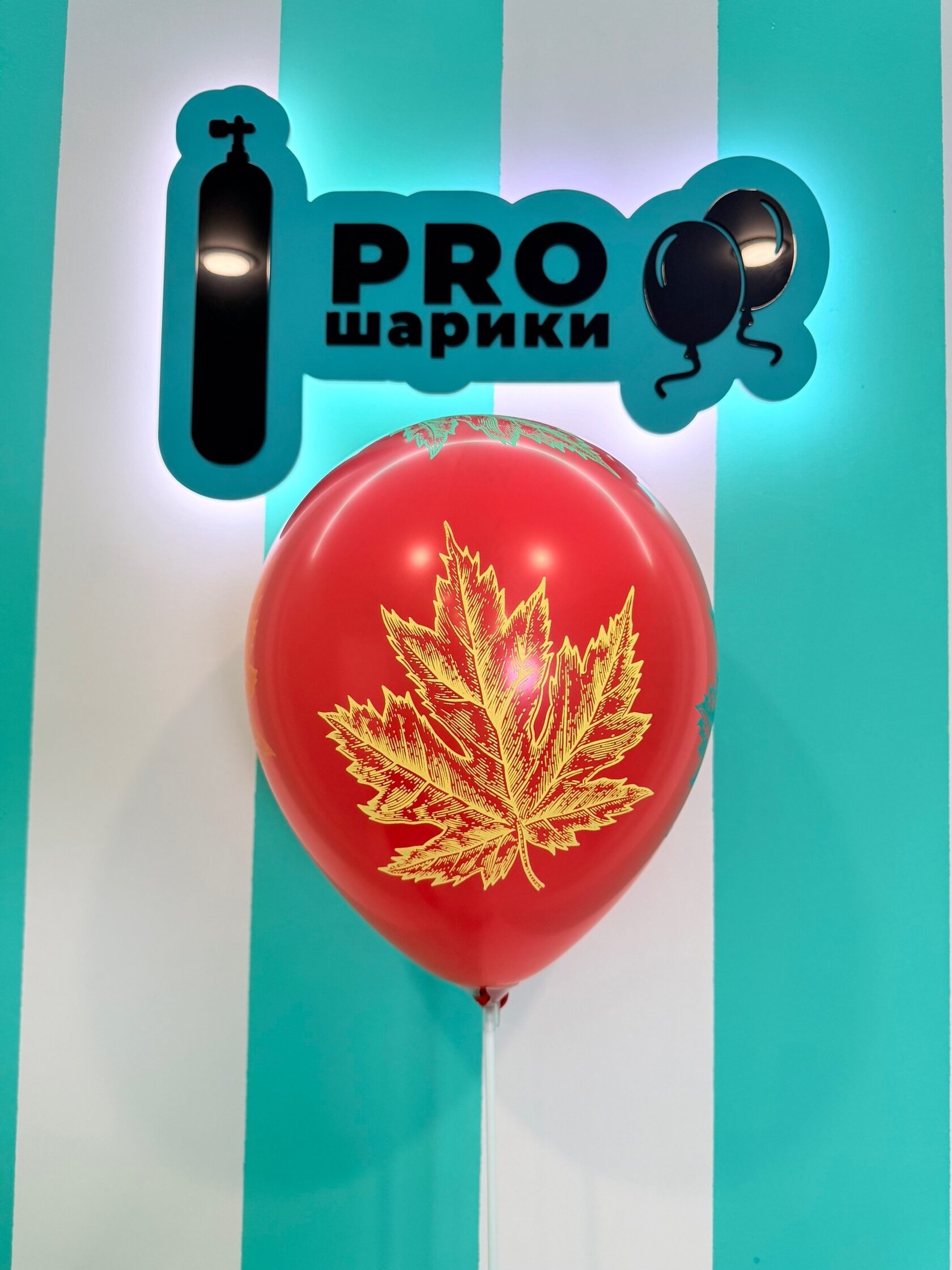 Латексные шары с принтом Кленовый лист